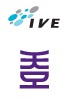 IVE and HKDI Short Courses